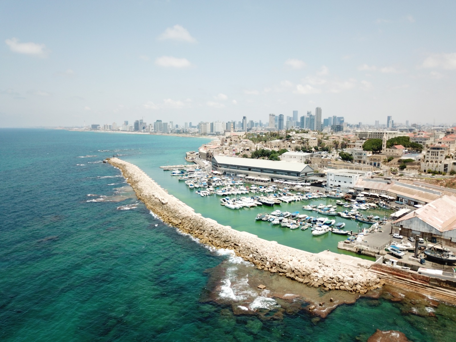 WhatsApp Image 2020-09-02 at 3.45.17 PM.jpeg.jpeg